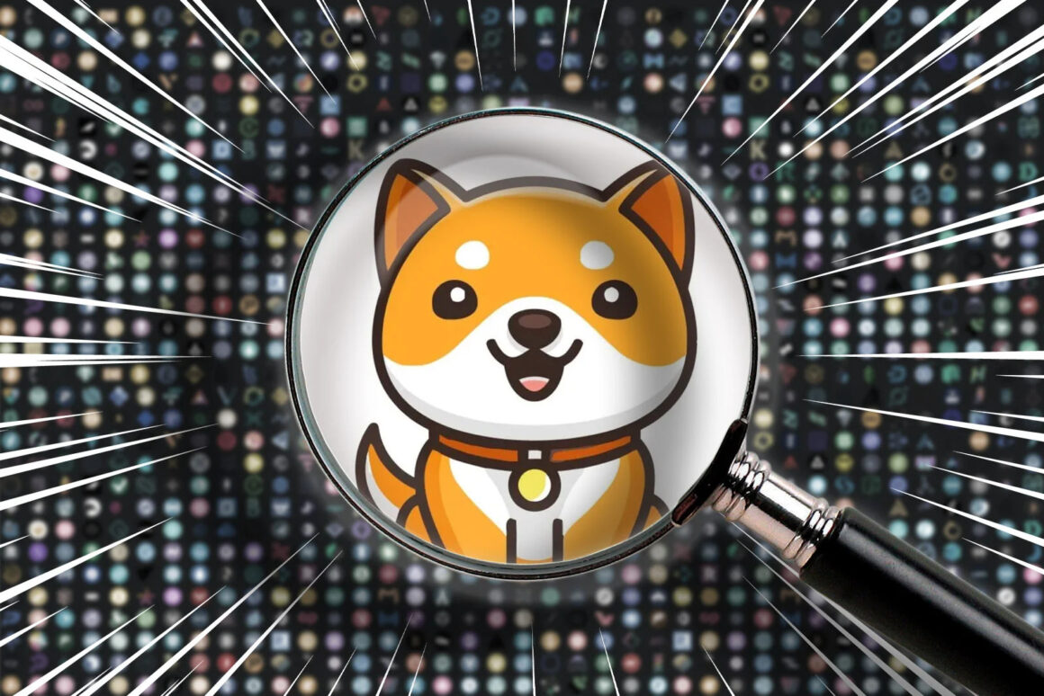 Baby Doge to Be Listed on a Top 10 Exchange, Price Spikes