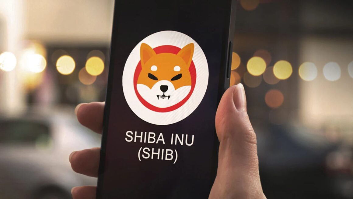 Shibarium Beta Breaks Transaction Records as Popularity Soars to New Heights