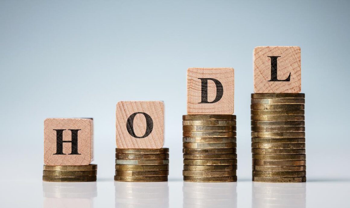 HODL: The Timeless Strategy for Crypto Investors